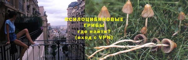 марки lsd Алзамай