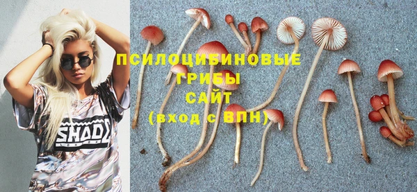 МДМА Алексеевка