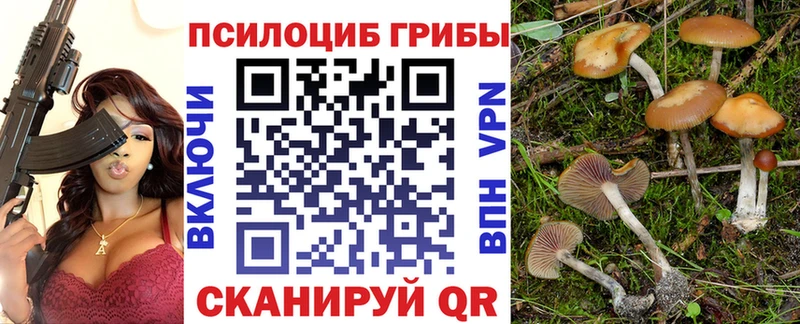 KRAKEN маркетплейс  Ахтубинск  Псилоцибиновые грибы прущие грибы 