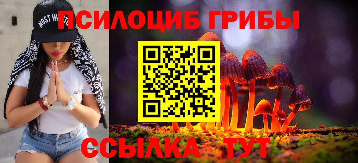 Ахтубинск  Галлюциногенные грибы мухоморы  Вход с VPN  Псилоцибиновые грибы мухоморы 