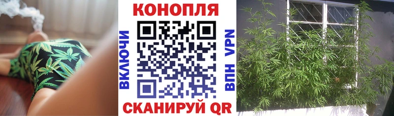 где продают   Ахтубинск  Бошки Шишки индика 